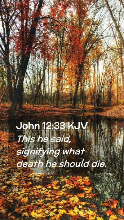 Picture 02 - John 12:33 KJV Mobile Phone Wallpaper - This he said, signifying what death he should - Mobile Bible Verse Wallpaper