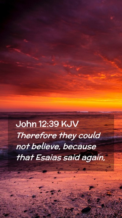 Picture 02 - John 12:39 KJV Mobile Phone Wallpaper - Therefore they could not believe, because that - Mobile Bible Verse Wallpaper