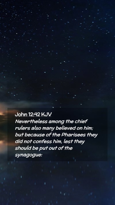 Picture 02 - John 12:42 KJV Mobile Phone Wallpaper - Nevertheless among the chief rulers also many - Mobile Bible Verse Wallpaper