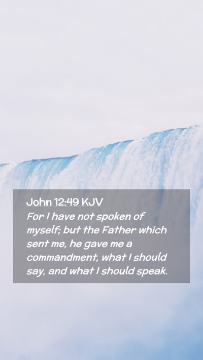 Picture 02 - John 12:49 KJV Mobile Phone Wallpaper - For I have not spoken of myself; but the Father - Mobile Bible Verse Wallpaper