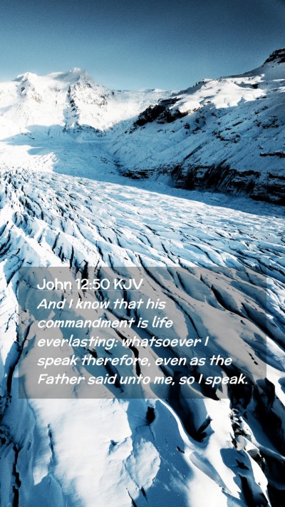 Picture 02 - John 12:50 KJV Mobile Phone Wallpaper - And I know that his commandment is life - Mobile Bible Verse Wallpaper