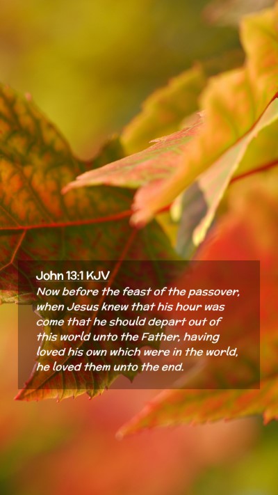 Picture 02 - John 13:1 KJV Mobile Phone Wallpaper - Now before the feast of the passover, when Jesus - Mobile Bible Verse Wallpaper