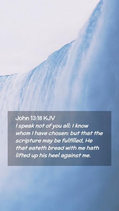 Picture 02 - John 13:18 KJV Mobile Phone Wallpaper - I speak not of you all: I know whom I have - Mobile Bible Verse Wallpaper