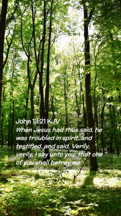 Picture 02 - John 13:21 KJV Mobile Phone Wallpaper - When Jesus had thus said, he was troubled in - Mobile Bible Verse Wallpaper
