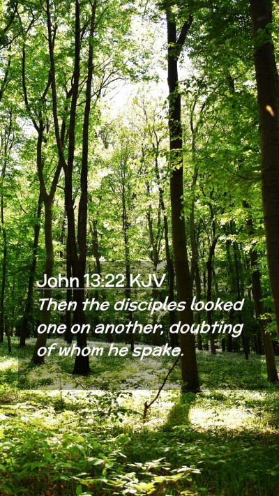 Picture 02 - John 13:22 KJV Mobile Phone Wallpaper - Then the disciples looked one on another, - Mobile Bible Verse Wallpaper