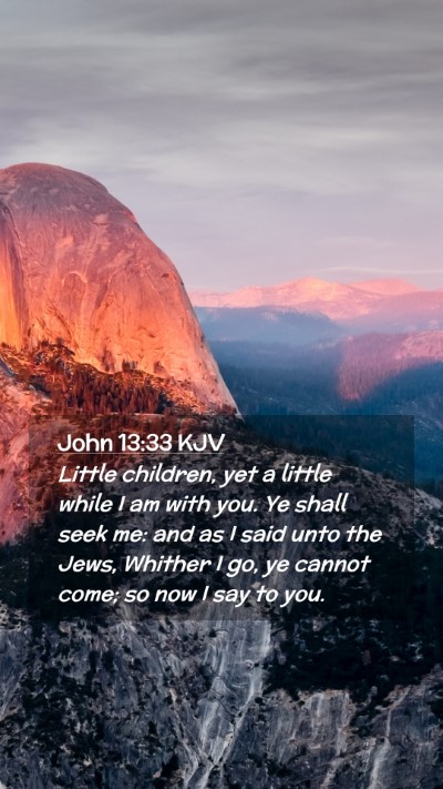 Picture 02 - John 13:33 KJV Mobile Phone Wallpaper - Little children, yet a little while I am with - Mobile Bible Verse Wallpaper