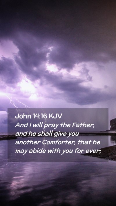 Picture 02 - John 14:16 KJV Mobile Phone Wallpaper - And I will pray the Father, and he shall give you - Mobile Bible Verse Wallpaper