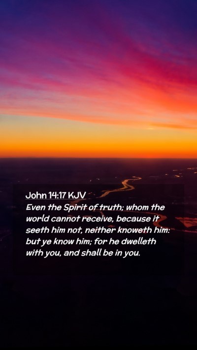 Picture 02 - John 14:17 KJV Mobile Phone Wallpaper - Even the Spirit of truth; whom the world cannot - Mobile Bible Verse Wallpaper