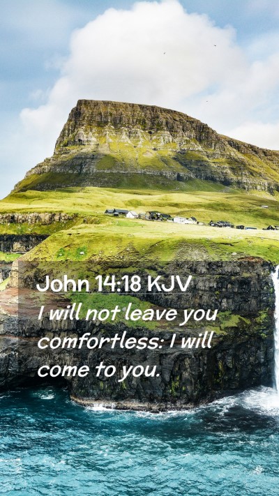 Picture 02 - John 14:18 KJV Mobile Phone Wallpaper - I will not leave you comfortless: I will come to - Mobile Bible Verse Wallpaper