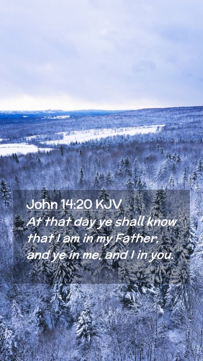Picture 02 - John 14:20 KJV Mobile Phone Wallpaper - At that day ye shall know that I am in my Father, - Mobile Bible Verse Wallpaper
