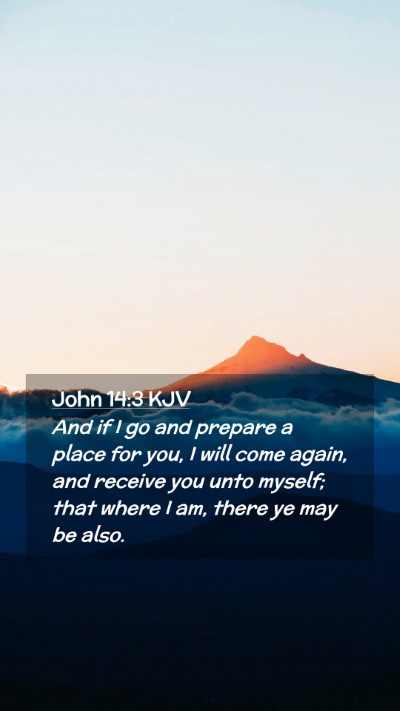 Picture 02 - John 14:3 KJV Mobile Phone Wallpaper - And if I go and prepare a place for you, I will - Mobile Bible Verse Wallpaper