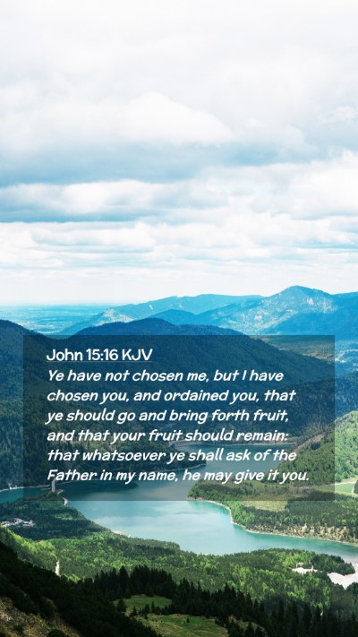 Picture 02 - John 15:16 KJV Mobile Phone Wallpaper - Ye have not chosen me, but I have chosen you, and - Mobile Bible Verse Wallpaper