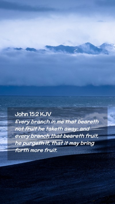 Picture 02 - John 15:2 KJV Mobile Phone Wallpaper - Every branch in me that beareth not fruit he - Mobile Bible Verse Wallpaper