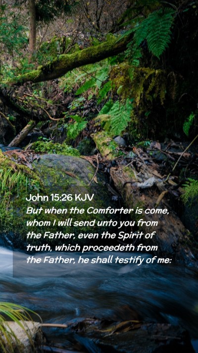 Picture 02 - John 15:26 KJV Mobile Phone Wallpaper - But when the Comforter is come, whom I will send - Mobile Bible Verse Wallpaper