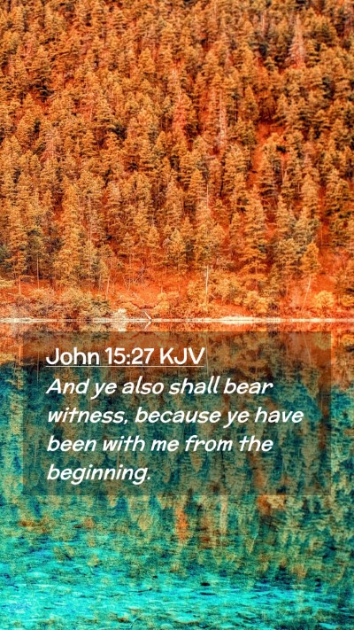 Picture 02 - John 15:27 KJV Mobile Phone Wallpaper - And ye also shall bear witness, because ye have - Mobile Bible Verse Wallpaper