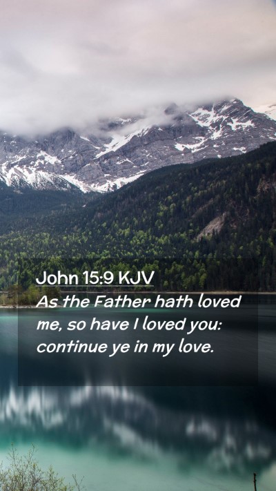 Picture 02 - John 15:9 KJV Mobile Phone Wallpaper - As the Father hath loved me, so have I loved you: - Mobile Bible Verse Wallpaper