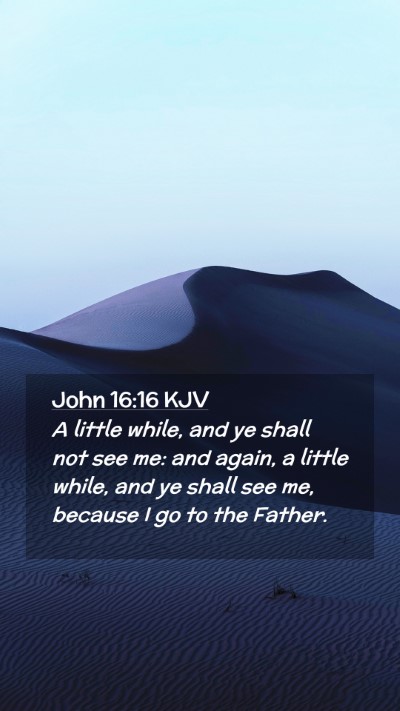 Picture 02 - John 16:16 KJV Mobile Phone Wallpaper - A little while, and ye shall not see me: and - Mobile Bible Verse Wallpaper