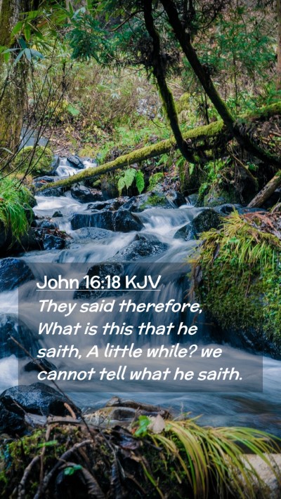 Picture 02 - John 16:18 KJV Mobile Phone Wallpaper - They said therefore, What is this that he saith, - Mobile Bible Verse Wallpaper