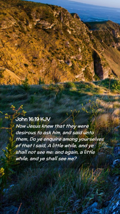 Picture 02 - John 16:19 KJV Mobile Phone Wallpaper - Now Jesus knew that they were desirous to ask - Mobile Bible Verse Wallpaper
