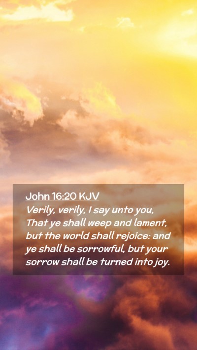 Picture 02 - John 16:20 KJV Mobile Phone Wallpaper - Verily, verily, I say unto you, That ye shall - Mobile Bible Verse Wallpaper