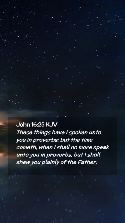 Picture 02 - John 16:25 KJV Mobile Phone Wallpaper - These things have I spoken unto you in proverbs: - Mobile Bible Verse Wallpaper