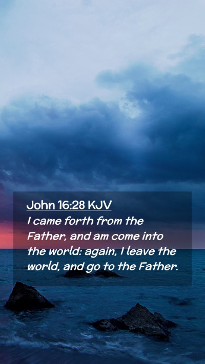 Picture 02 - John 16:28 KJV Mobile Phone Wallpaper - I came forth from the Father, and am come into - Mobile Bible Verse Wallpaper