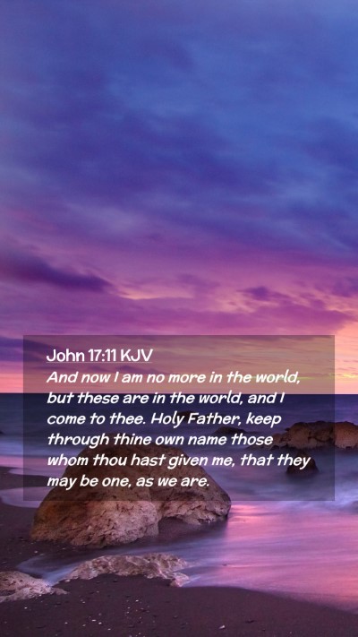 Picture 02 - John 17:11 KJV Mobile Phone Wallpaper - And now I am no more in the world, but these are - Mobile Bible Verse Wallpaper