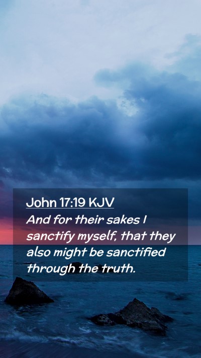 Picture 02 - John 17:19 KJV Mobile Phone Wallpaper - And for their sakes I sanctify myself, that they - Mobile Bible Verse Wallpaper