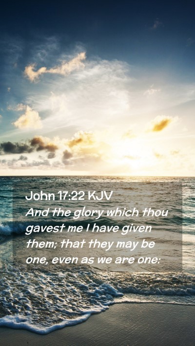 Picture 02 - John 17:22 KJV Mobile Phone Wallpaper - And the glory which thou gavest me I have given - Mobile Bible Verse Wallpaper