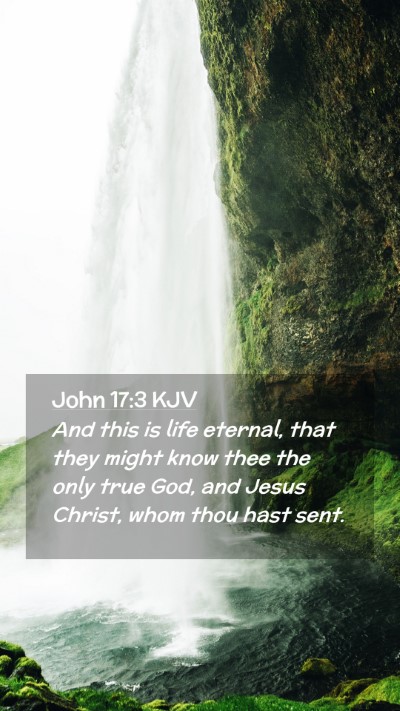 Picture 02 - John 17:3 KJV Mobile Phone Wallpaper - And this is life eternal, that they might know - Mobile Bible Verse Wallpaper