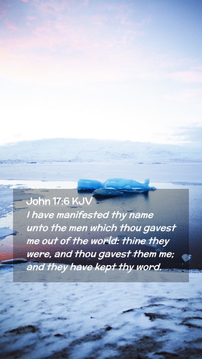 Picture 02 - John 17:6 KJV Mobile Phone Wallpaper - I have manifested thy name unto the men which - Mobile Bible Verse Wallpaper