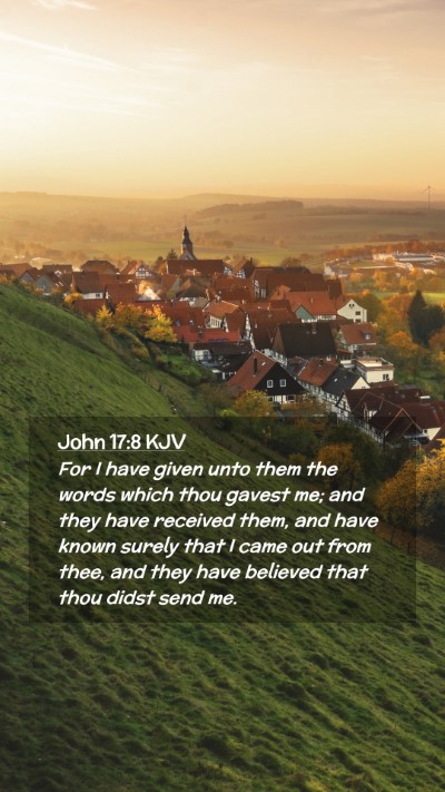 Picture 02 - John 17:8 KJV Mobile Phone Wallpaper - For I have given unto them the words which thou - Mobile Bible Verse Wallpaper