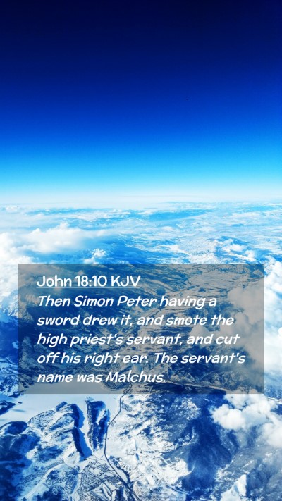 Picture 02 - John 18:10 KJV Mobile Phone Wallpaper - Then Simon Peter having a sword drew it, and - Mobile Bible Verse Wallpaper