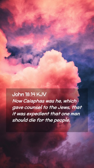 Picture 02 - John 18:14 KJV Mobile Phone Wallpaper - Now Caiaphas was he, which gave counsel to the - Mobile Bible Verse Wallpaper