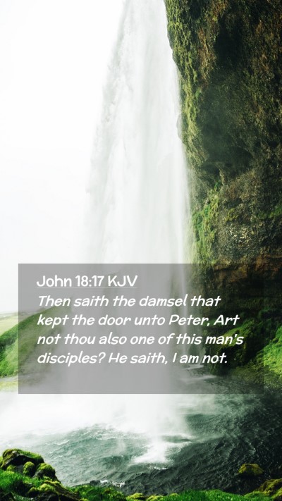 Picture 02 - John 18:17 KJV Mobile Phone Wallpaper - Then saith the damsel that kept the door unto - Mobile Bible Verse Wallpaper