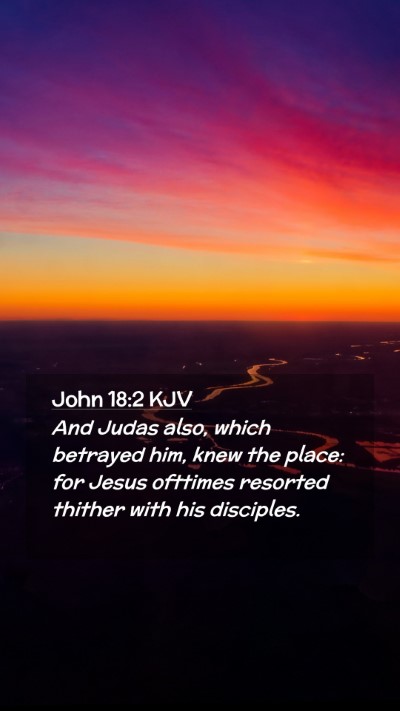 Picture 02 - John 18:2 KJV Mobile Phone Wallpaper - And Judas also, which betrayed him, knew the - Mobile Bible Verse Wallpaper
