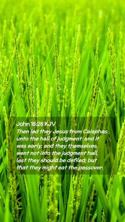 Picture 02 - John 18:28 KJV Mobile Phone Wallpaper - Then led they Jesus from Caiaphas unto the hall - Mobile Bible Verse Wallpaper