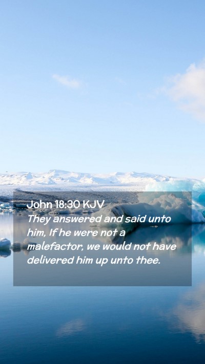Picture 02 - John 18:30 KJV Mobile Phone Wallpaper - They answered and said unto him, If he were not a - Mobile Bible Verse Wallpaper