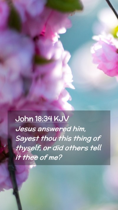 Picture 02 - John 18:34 KJV Mobile Phone Wallpaper - Jesus answered him, Sayest thou this thing of - Mobile Bible Verse Wallpaper
