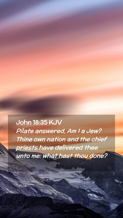 Picture 02 - John 18:35 KJV Mobile Phone Wallpaper - Pilate answered, Am I a Jew? Thine own nation and - Mobile Bible Verse Wallpaper