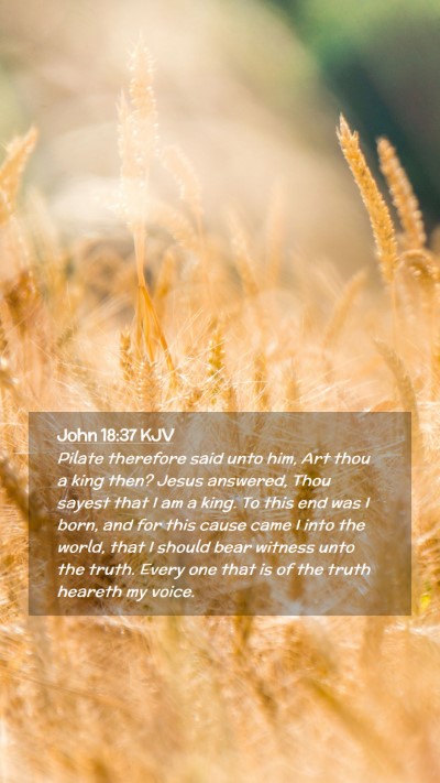 Picture 02 - John 18:37 KJV Mobile Phone Wallpaper - Pilate therefore said unto him, Art thou a king - Mobile Bible Verse Wallpaper