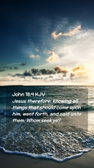 Picture 02 - John 18:4 KJV Mobile Phone Wallpaper - Jesus therefore, knowing all things that should - Mobile Bible Verse Wallpaper