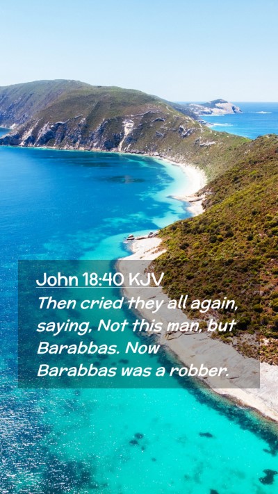 Picture 02 - John 18:40 KJV Mobile Phone Wallpaper - Then cried they all again, saying, Not this man, - Mobile Bible Verse Wallpaper