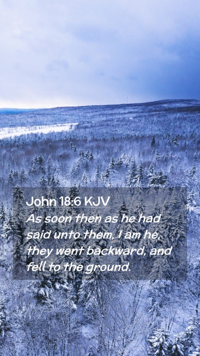 Picture 02 - John 18:6 KJV Mobile Phone Wallpaper - As soon then as he had said unto them, I am he, - Mobile Bible Verse Wallpaper