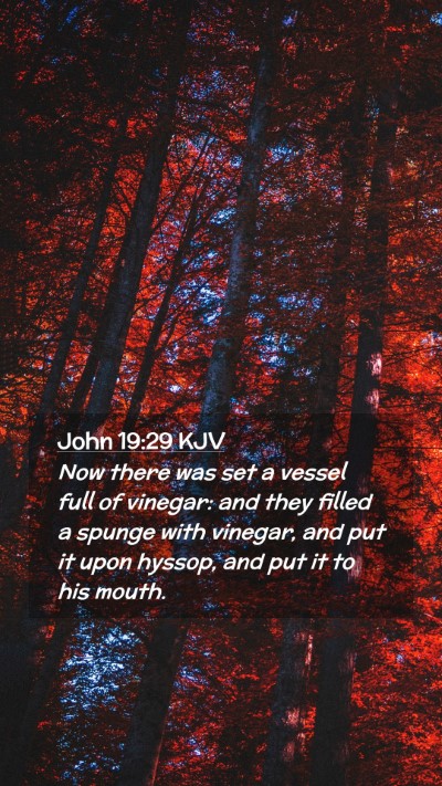 Picture 02 - John 19:29 KJV Mobile Phone Wallpaper - Now there was set a vessel full of vinegar: and - Mobile Bible Verse Wallpaper