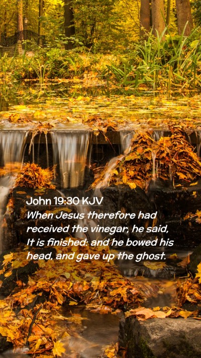 Picture 02 - John 19:30 KJV Mobile Phone Wallpaper - When Jesus therefore had received the vinegar, he - Mobile Bible Verse Wallpaper