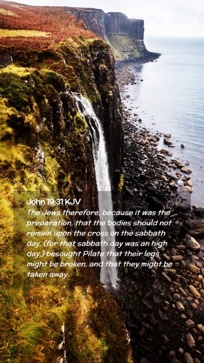 Picture 02 - John 19:31 KJV Mobile Phone Wallpaper - The Jews therefore, because it was the - Mobile Bible Verse Wallpaper