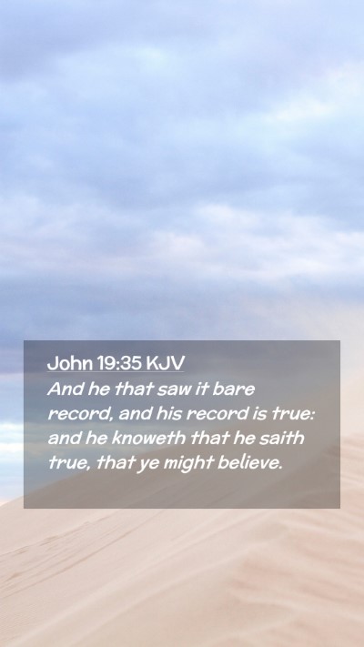 Picture 02 - John 19:35 KJV Mobile Phone Wallpaper - And he that saw it bare record, and his record is - Mobile Bible Verse Wallpaper