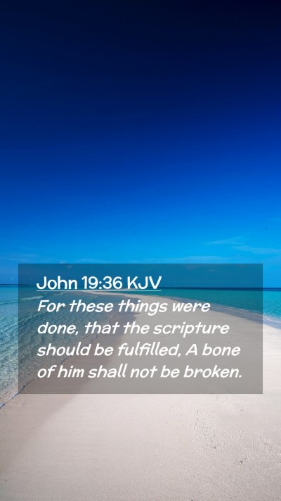 Picture 02 - John 19:36 KJV Mobile Phone Wallpaper - For these things were done, that the scripture - Mobile Bible Verse Wallpaper