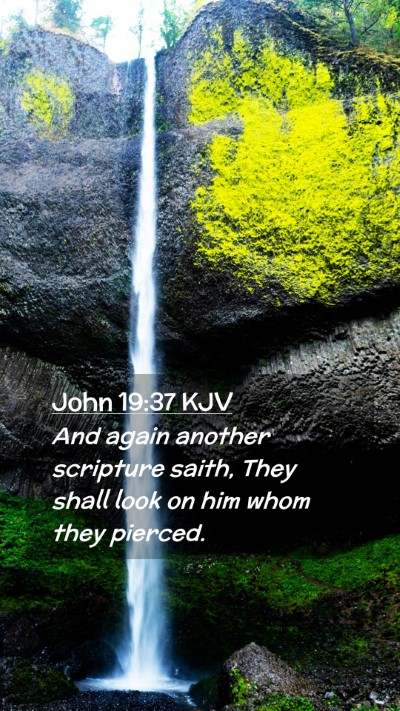 Picture 02 - John 19:37 KJV Mobile Phone Wallpaper - And again another scripture saith, They shall - Mobile Bible Verse Wallpaper